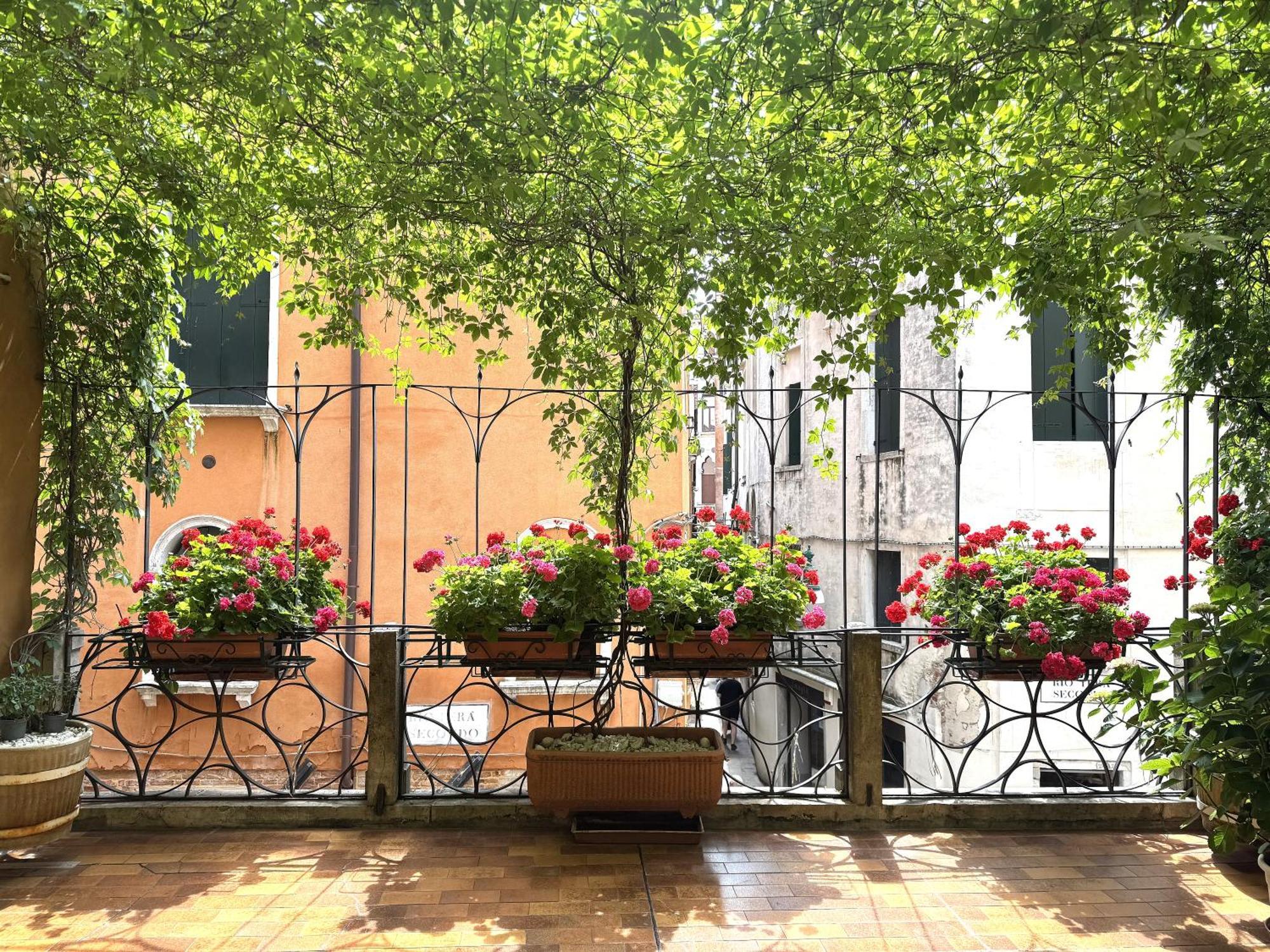 Beroni A * Veneza